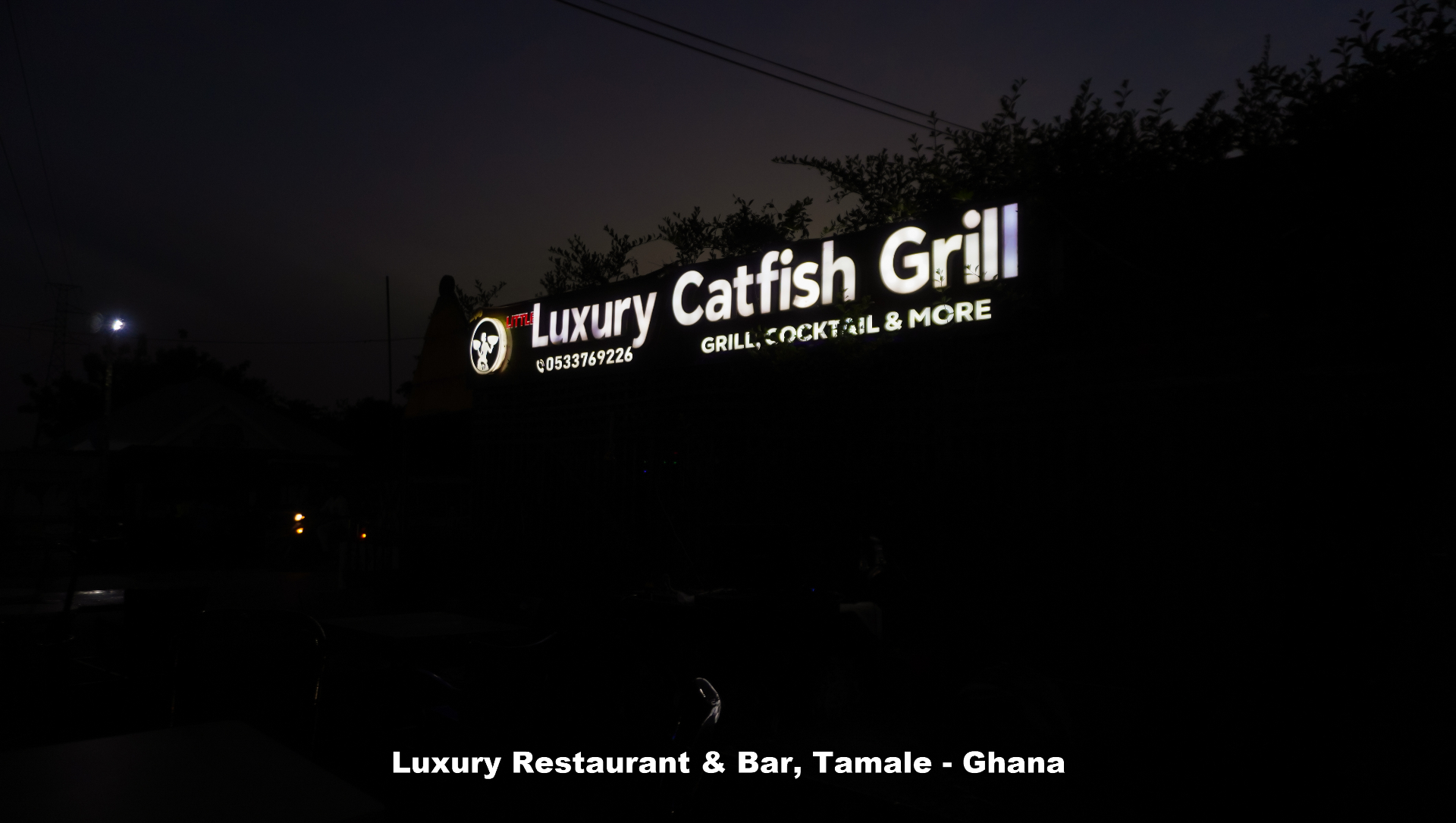 Luxury Catfish Grill neon signage at night
